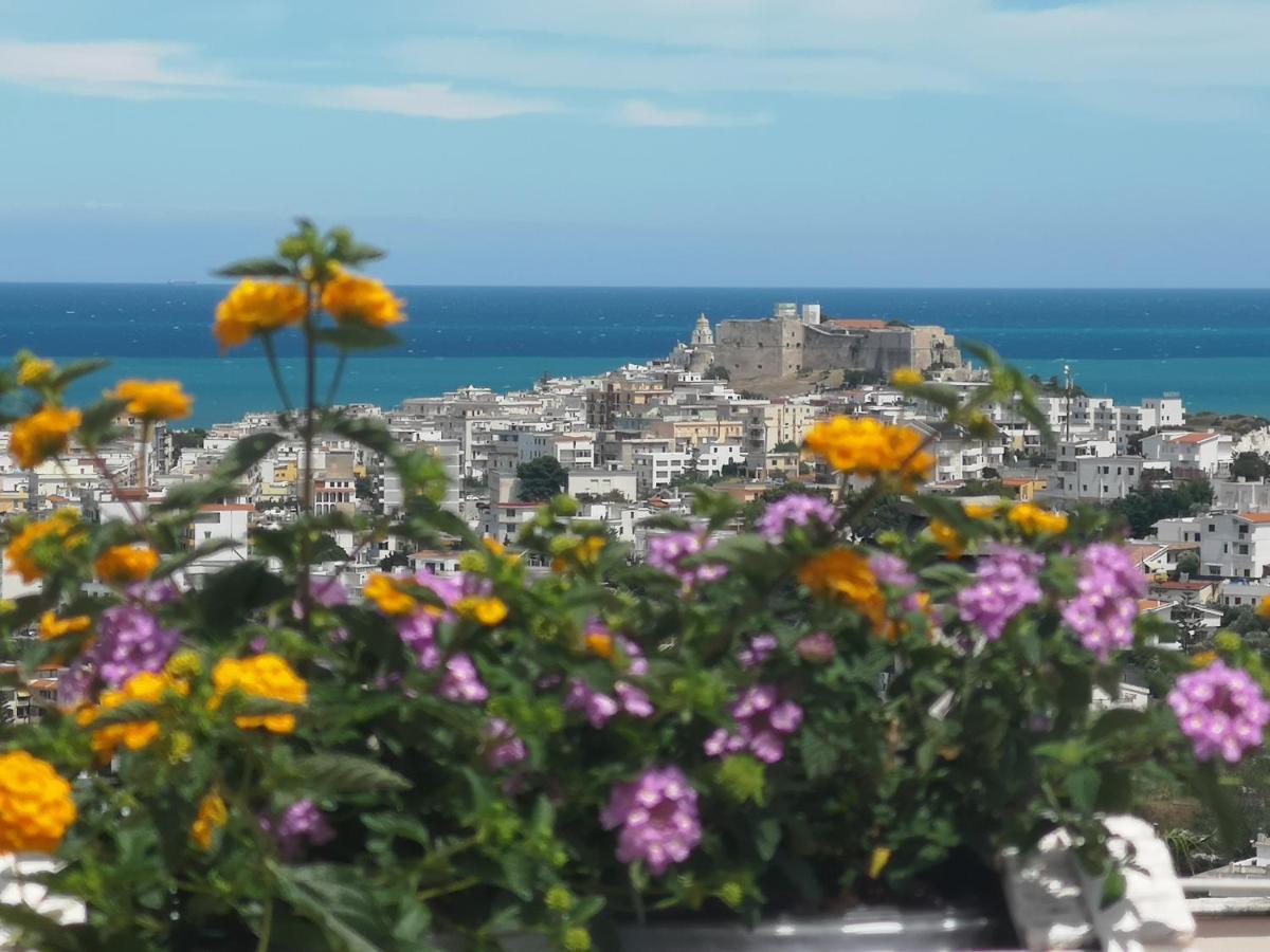 Villa Arenella Vieste Eksteriør billede