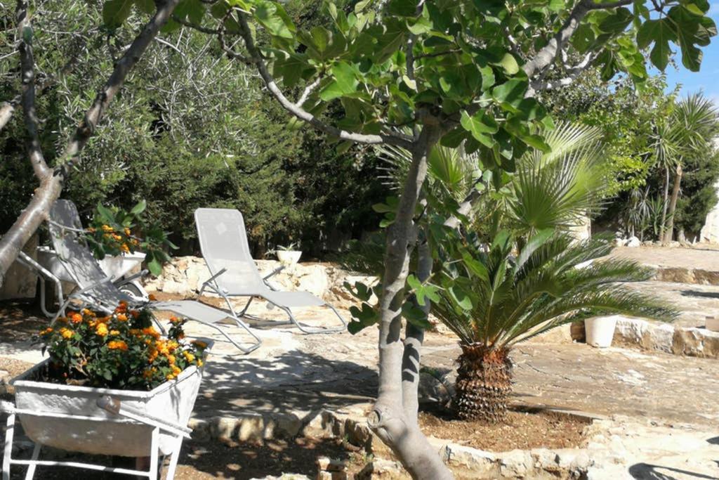 Villa Arenella Vieste Eksteriør billede