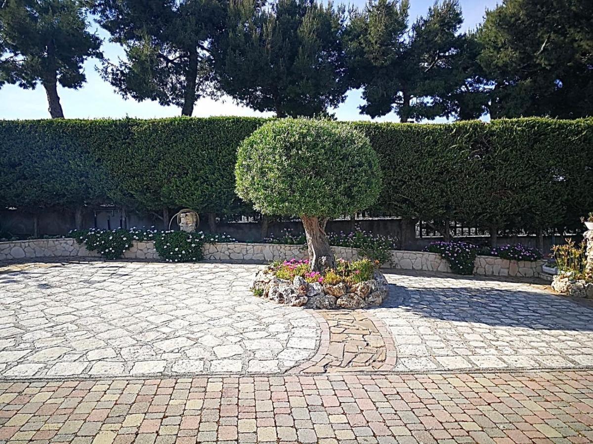 Villa Arenella Vieste Eksteriør billede